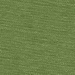 Crypton Upholstery Fabric Space Walk Sprig SC image